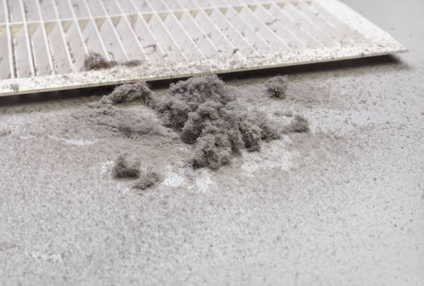 Best Local Air Duct Cleaning Services  in Yankton, SD